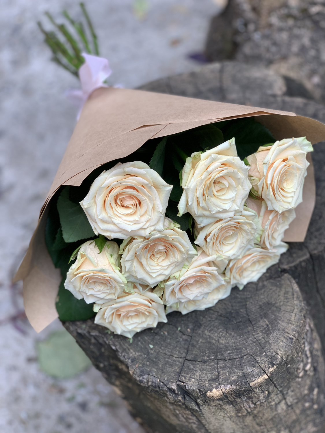 11 cream roses