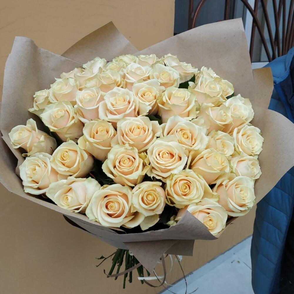 51 кремовая роза