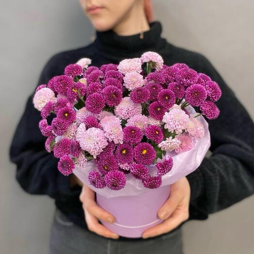 Tender Santini in the box (17 bush chrysanthemums Santini in a hat box)