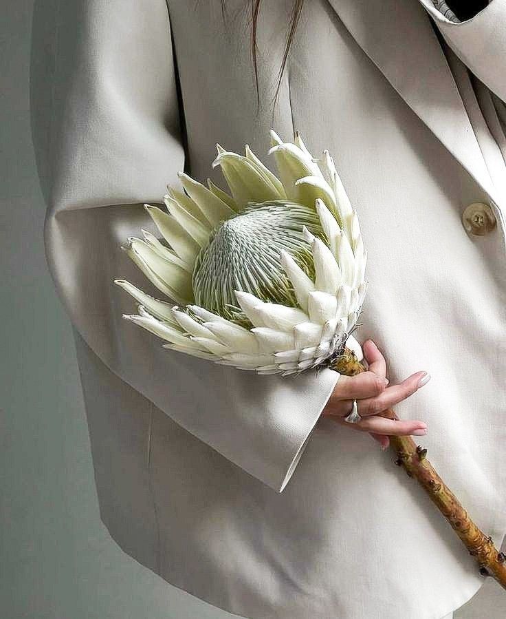 Яркий моно букет 🌷