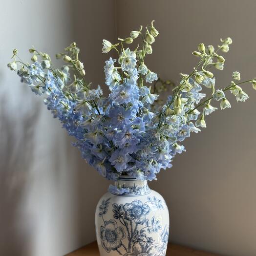 Монобукет из 9 веток голубого дельфиниума