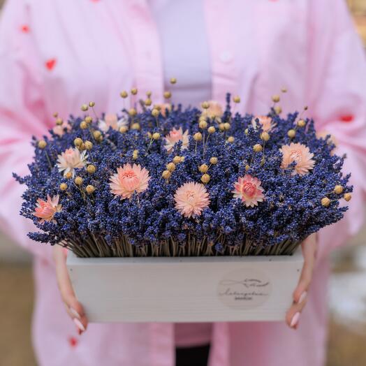 Lavender in the kashpo "flowering field" with pink flowers