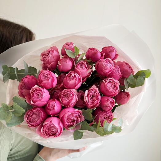 Pionovid roses Silva Pink