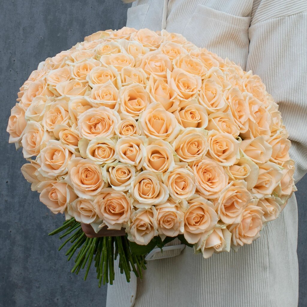 101 cream roses