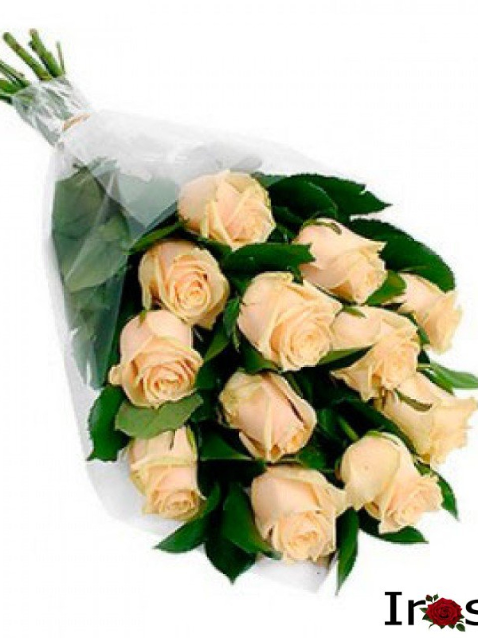 11 cream roses