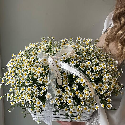 Ромашки в корзине