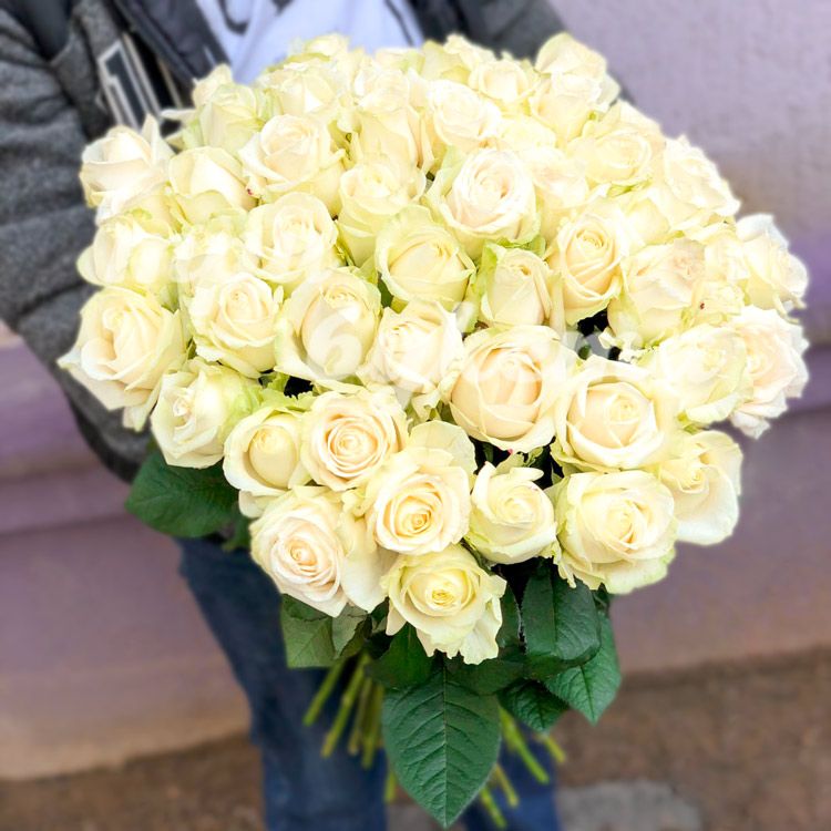 51 розы белые элегантные