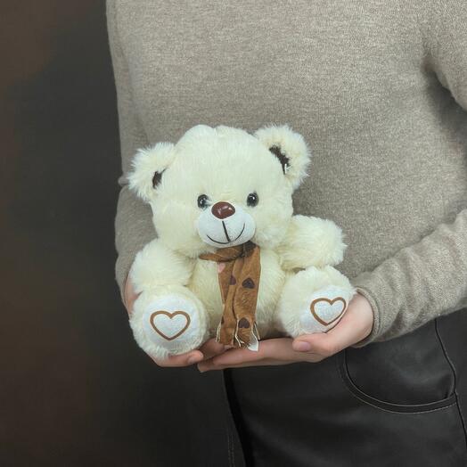 Мягкая игрушка «Медвежонок» XS