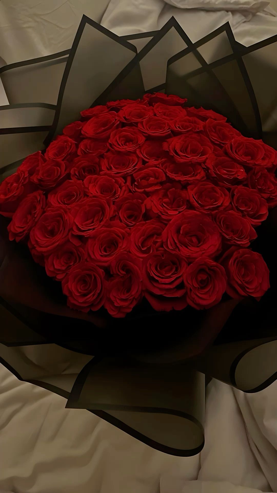 25 Red Roses Gorgeous ✨