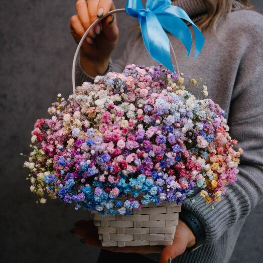 Gypsophila in the basket