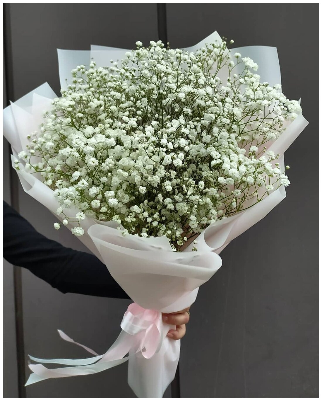 5 gypsophila