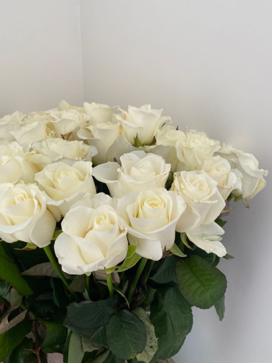 31 белая роз