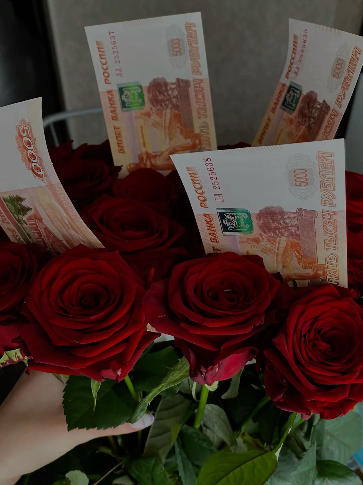 101 красная роза нежная 🌹💫