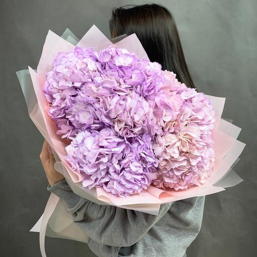 Букет из лавандовых Гортензий 7шт