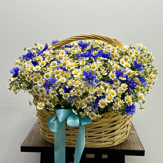 Vasilkovaya story with daisies in the basket