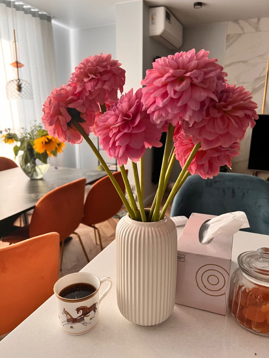 Весенний моно букет 🌼