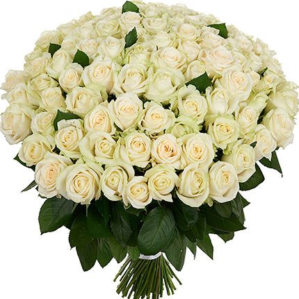 101 розы белые изысканные