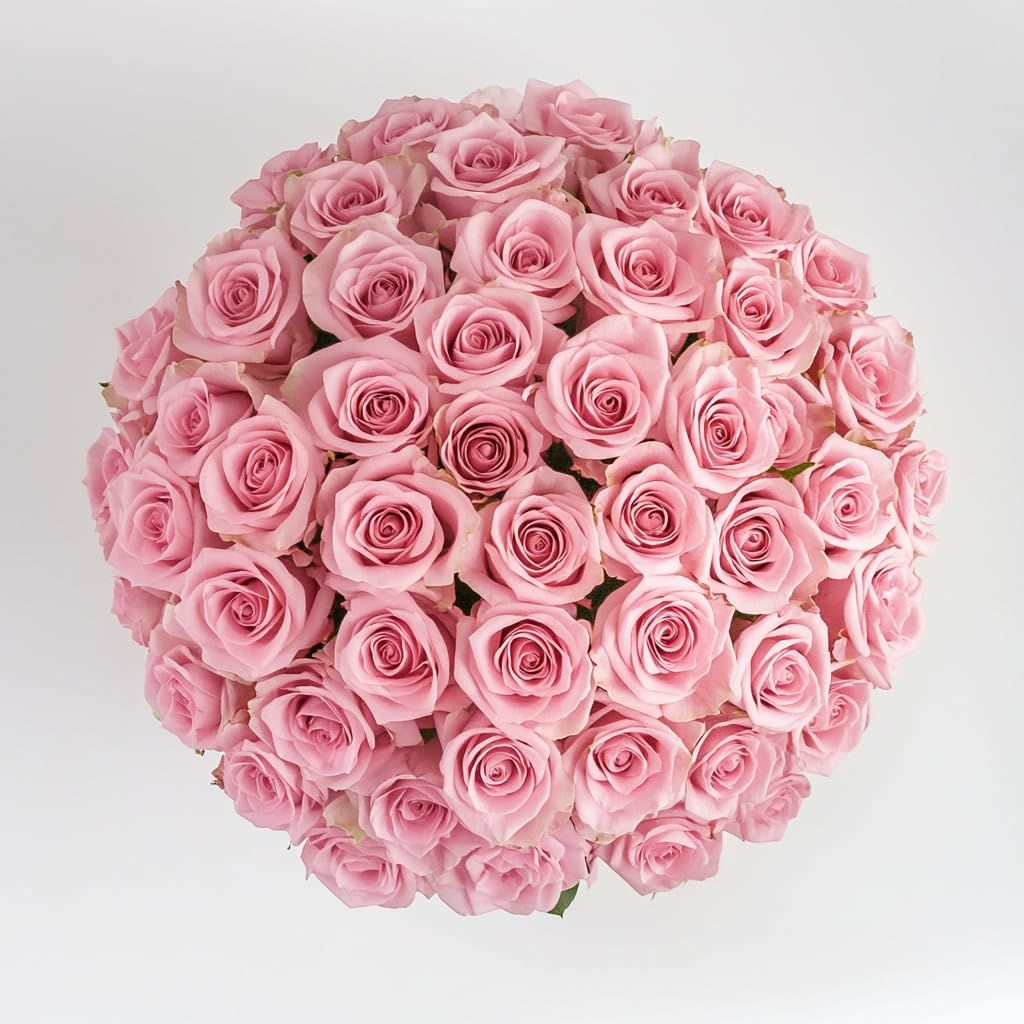 31 pink roses
