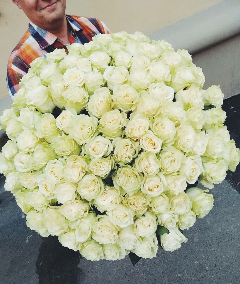 101 розы белые идеальные