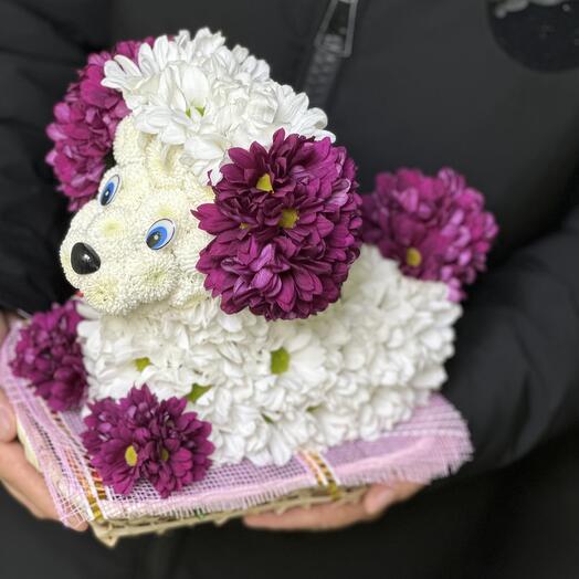 Bouquet Dog from fresh flowers