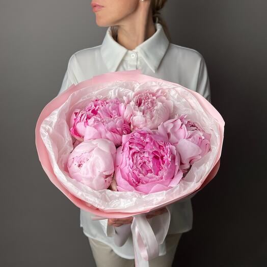 Розовые Пионы 5 шт Сара Бернар