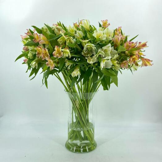 Цветы альстромерии в букете без упаковки 29 шт