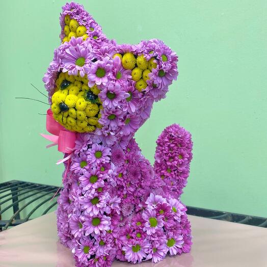 Композиция из живых цветов Котик