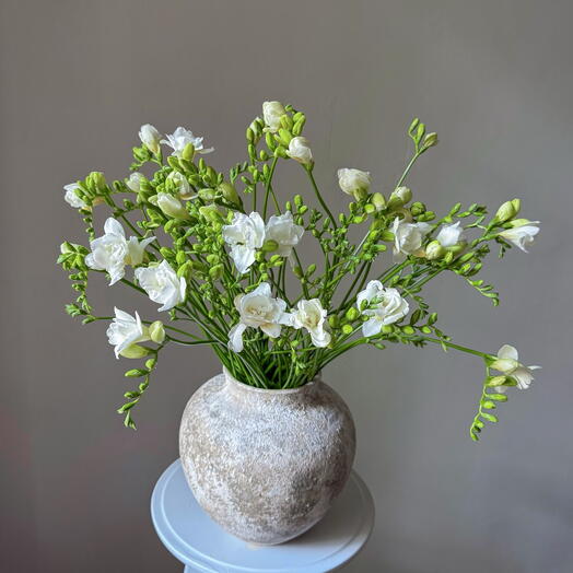 Fragrant freesia 29 pcs