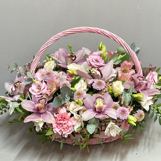 Korzin with a bloom. Your smile