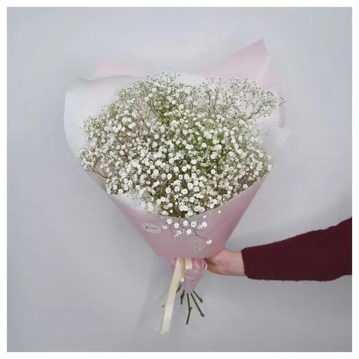 5 gypsophila