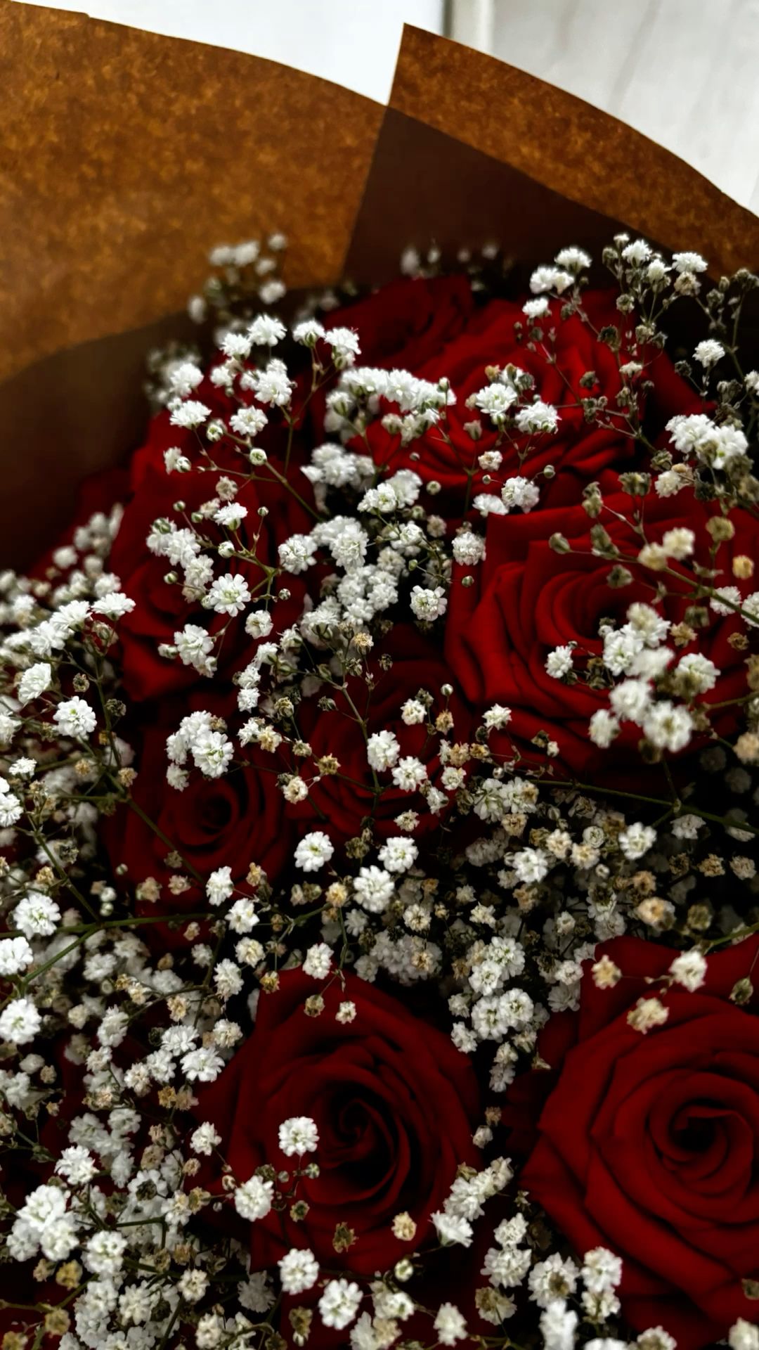 101 Red Roses Magnificent 💖🌹