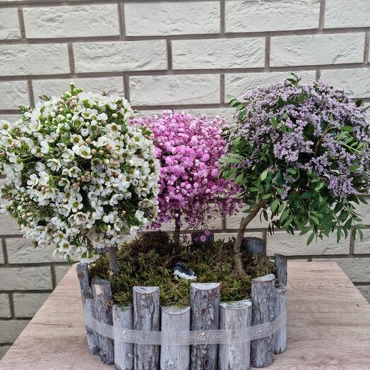 Композиция Цветущий сад