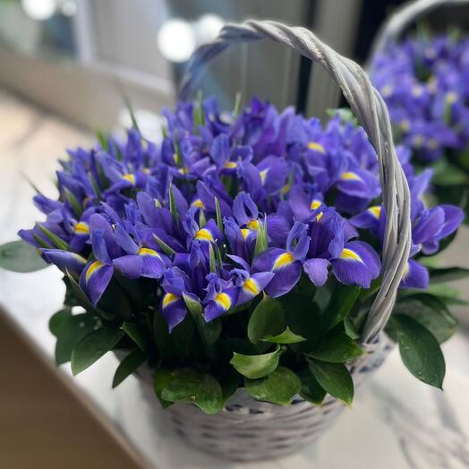 Basket with irises