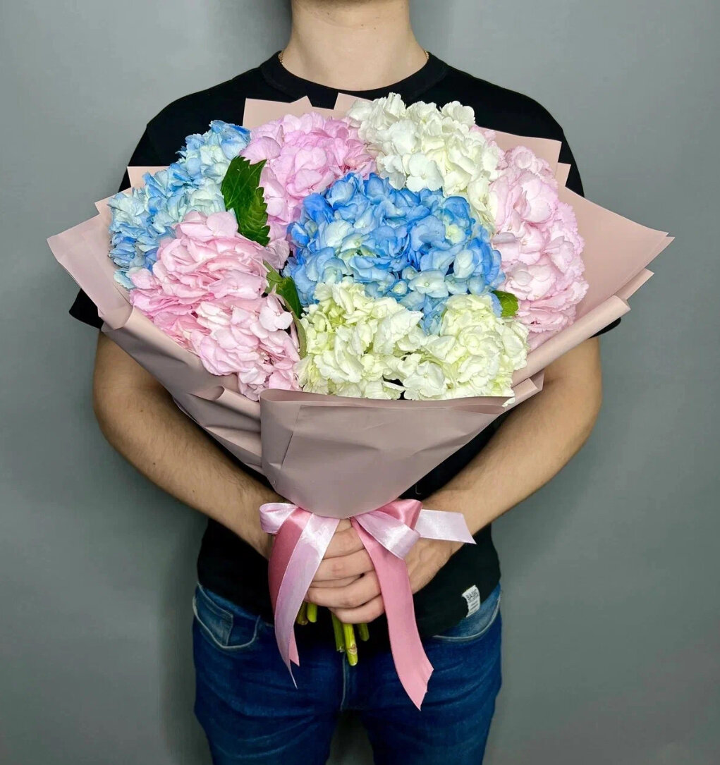 7 гортензия