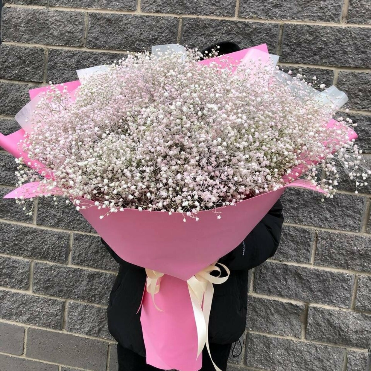 51 гипсофила