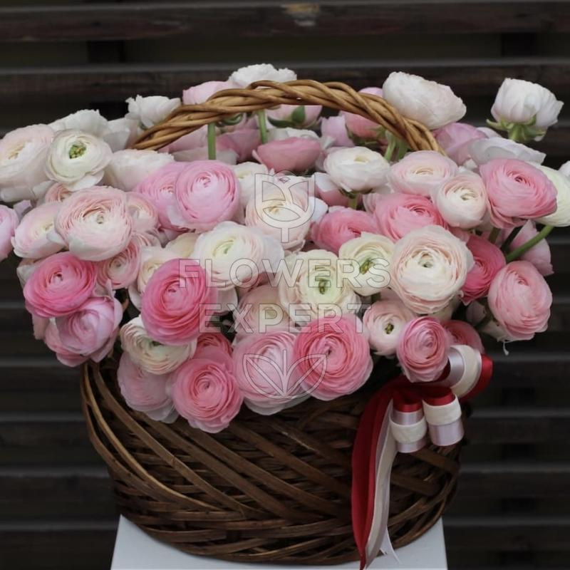 21 ранункулюс