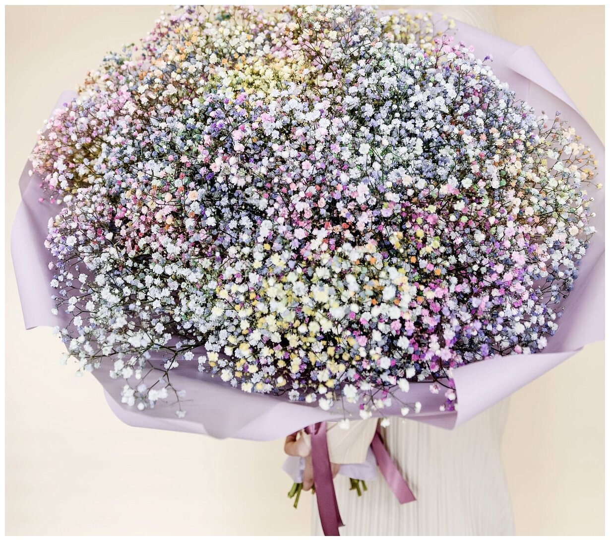 21 gypsophila
