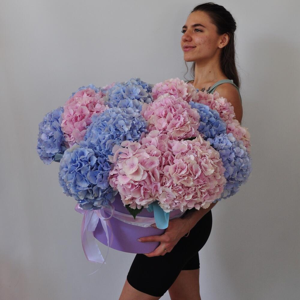 21 гортензия