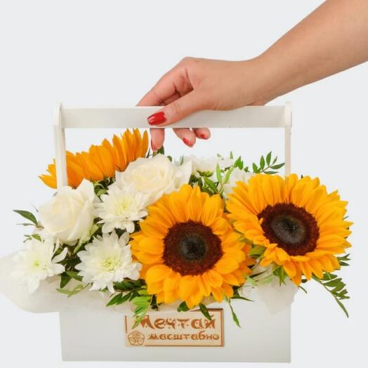 The composition of the heavenly island