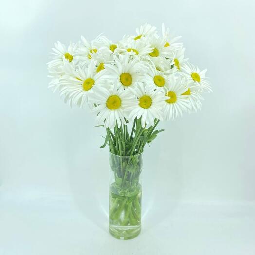 Букет садовых ромашек 25 шт