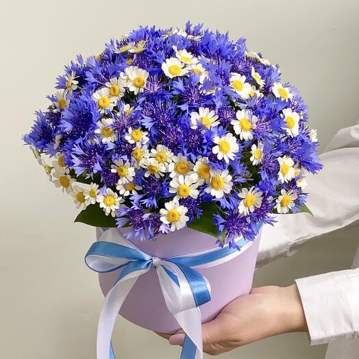 Полевые цветы Васильки и Ромашки в коробке