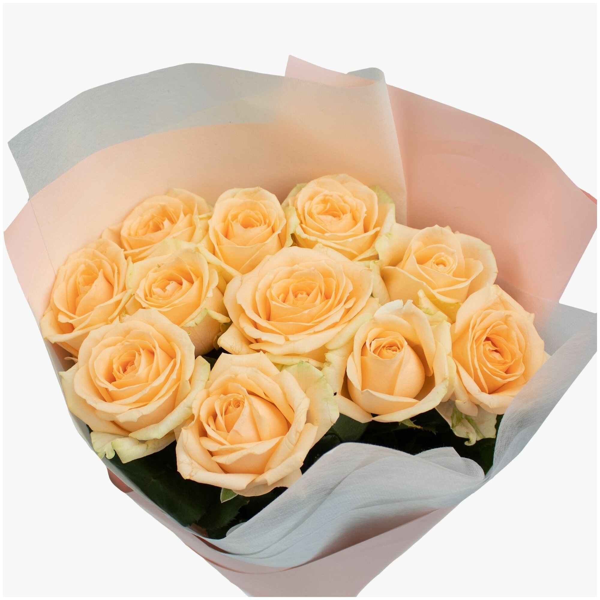 11 cream roses