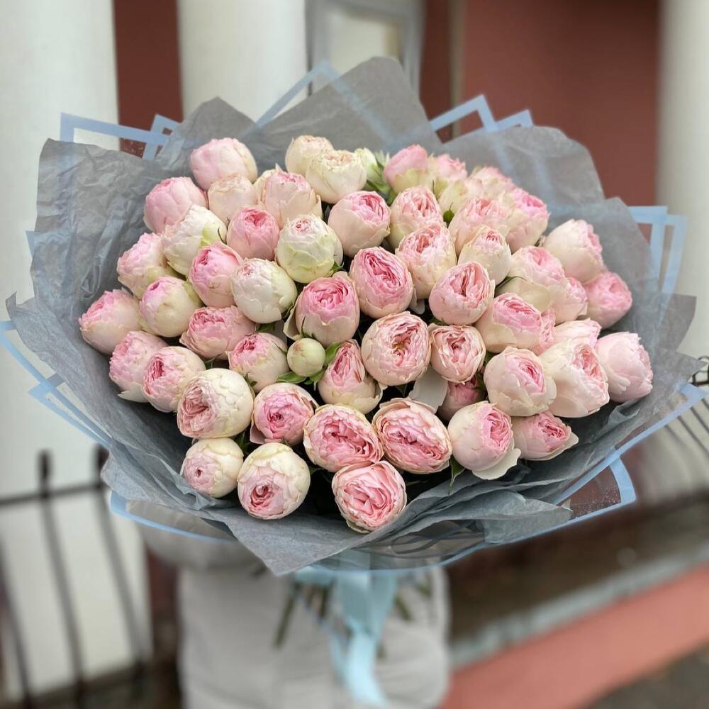 15 peony roses