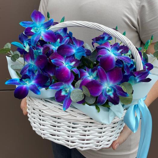 Composition from the Orchids "Cosmos"