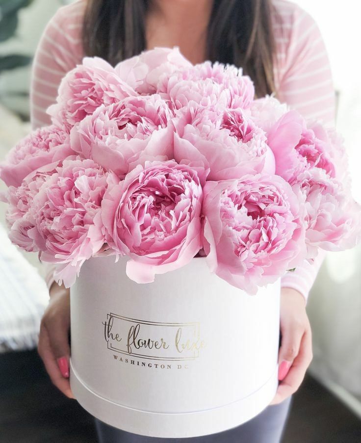 Spring flower box 🌼