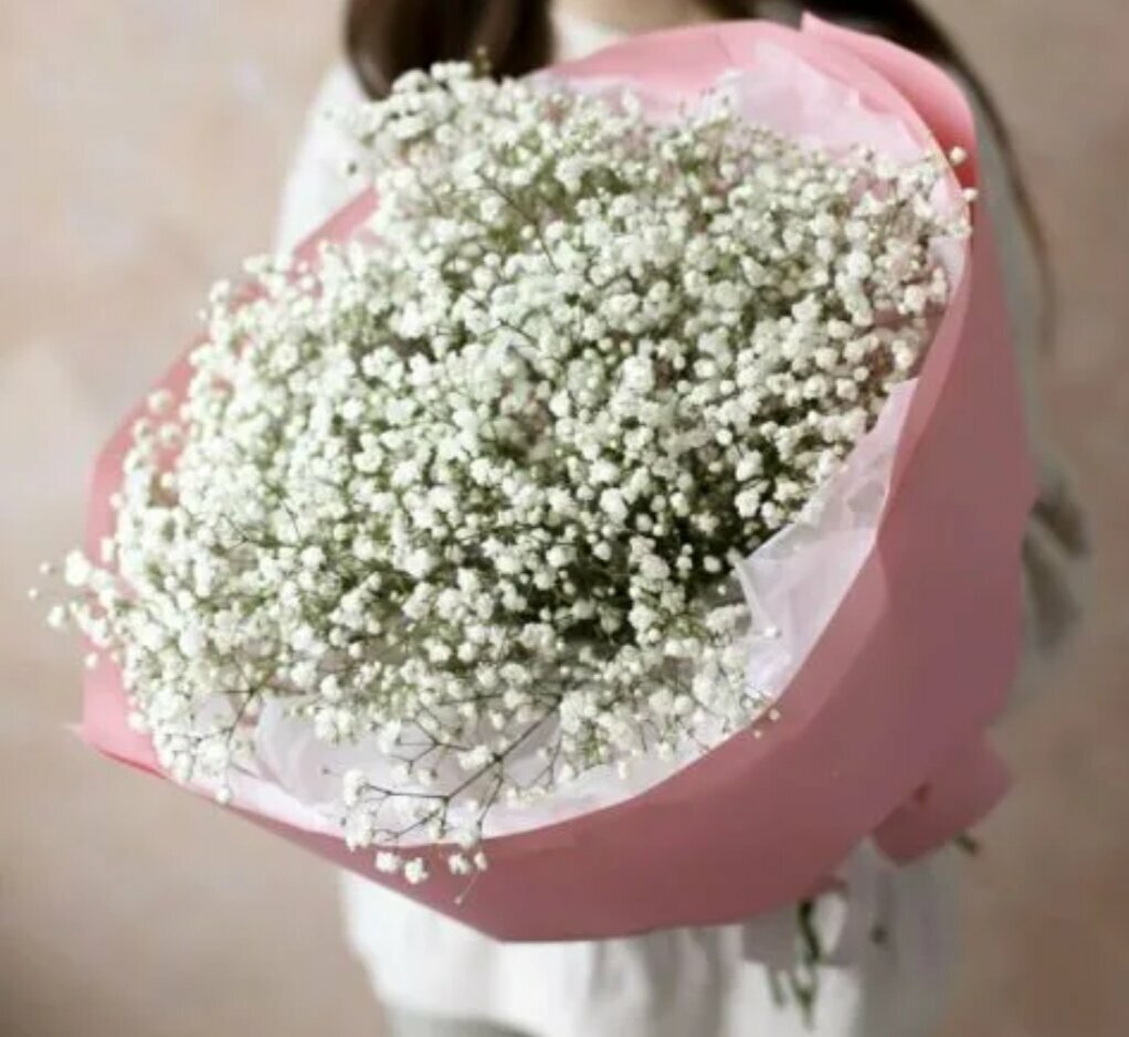 7 гипсофила