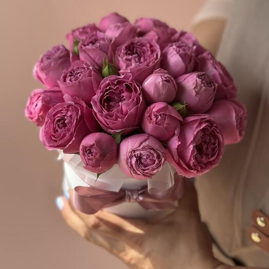 Пионовидная кустовая Роза в коробке «Мини комплимент»