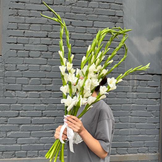 Белые гладиолусы 9