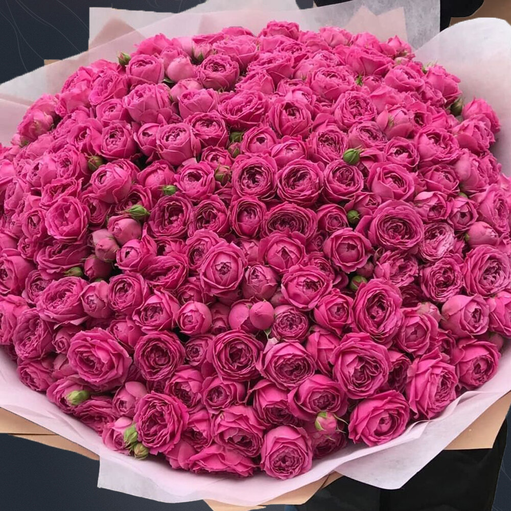101 peony roses