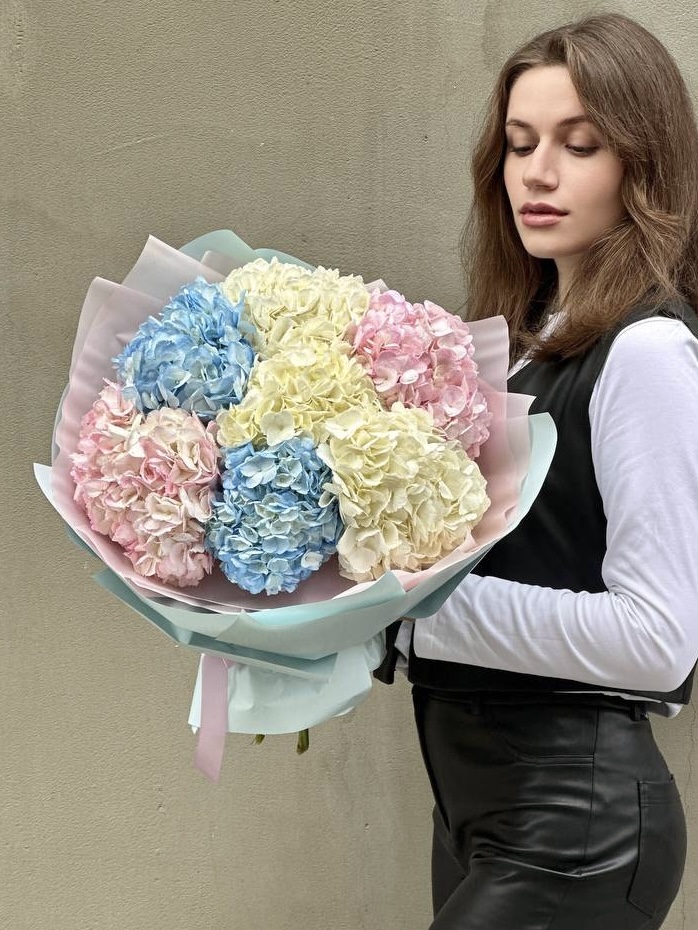 7 гортензия